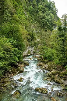 Flowing Prints: Flowing waters of Lupshara River through dense greenery in Ritsa Relict National Park