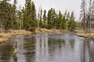 Fly fis hing, Firehole River, Yellows tone National Park, UNEs CO World Heritage s ite