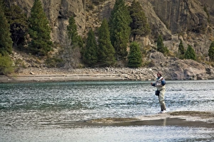 Angler Prints: Fly fishing at the Limay River in the lake district, Patagonia, Argentina, South America