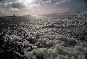 Foam Prints: Foam off the Pacific Ocean on coast near Westport