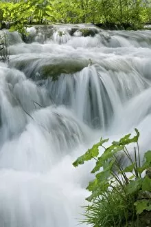 Images Dated 26th May 2010: Foaming cascades, Plitvice Lakes National Park (Plitvicka Jezera), UNESCO World Heritage site