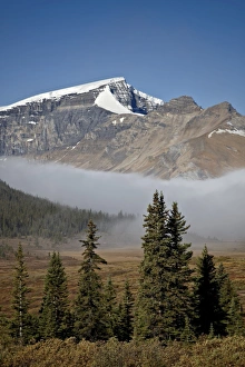 Fog in the Alpine valley, Jasper National Park, UNESCO World Heritage Site, Alberta, Canada, North America