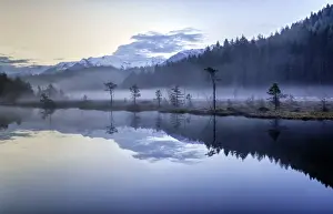 Pian Di Gembro Prints: Fog hiding the vegetation in the Nature Reserve of Pian di Gembro before sunrise