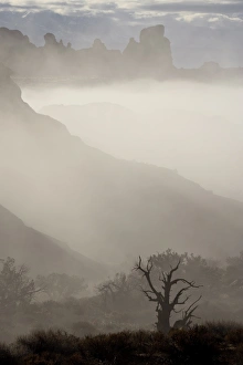 Images Dated 24th February 2009: Fog surrounding formations, Arches National Park, Utah, United States of America