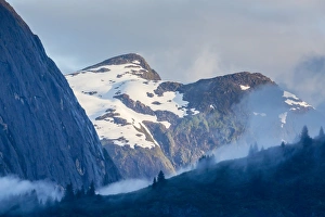 Eerie Prints: Fog in trees in Tracy Arm-Fords Terror Wilderness area