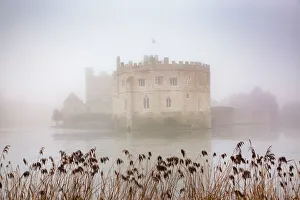 Reeds Prints: Foggy day in the park surrounding Leeds Castle, Kent, England, United Kingdom, Europe