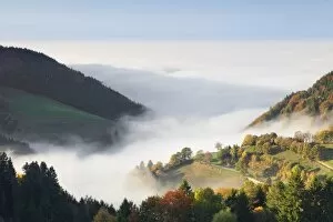 Images Dated 9th October 2010: Foggy landscape in autumn, Wiedener Eck, Black Forest, Baden Wurttemberg, Germany, Europe
