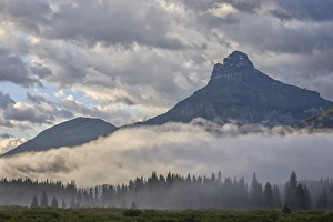 Rocky Mountains Prints: Foggy meadow under clouds, Banff National Park