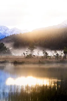 Foggy sunrise at the pond in the Pian di Gembro reserve, Pian di Gembro, Valtellina