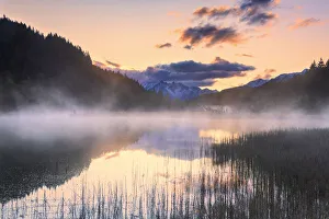 Foggy sunrise at the pond in the Pian di Gembro reserve, Pian di Gembro, Valtellina