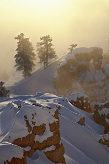 Images Dated 19th December 2008: Foggy sunrise at Sunrise Point with snow, Bryce Canyon National Park, Utah