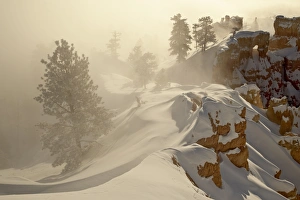 Images Dated 19th December 2008: Foggy sunrise at Sunrise Point with snow, Bryce Canyon National Park, Utah