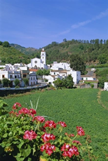 Images Dated 4th September 2008: Fontanales