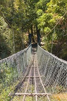 Images Dated 1st September 2008: Footbridge in the Ankarafantsika National Park, Madagascar, Africa