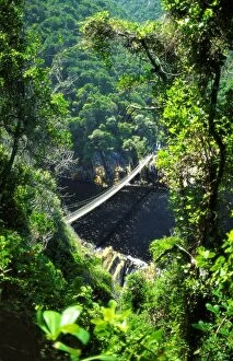 Images Dated 15th June 2007: Footbrige Over Storms River, Tsitsikamma National Park, South Africa
