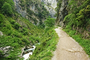 Asturias Prints: Footpath through the Desfiladero del Rio Cares, Picos de Europa, Parque Nacional