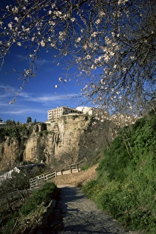 Ronda Prints: Footpath in the Guadalevin gorge in springtime