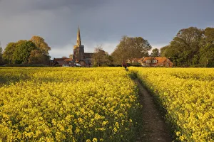 Places Of Worship Prints: Footpath in rapeseed field to village of Peasemore and St