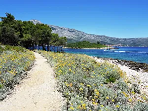 Korcula Prints: Footpath by the Sea on Badija, Korcula, Croatia, Europe