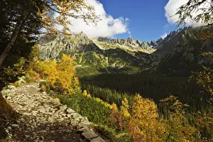 Footpath in the Strbske Pleso area, High Tatras (Vysoke Tatry), Slovakia, Europe