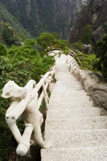 West Sea Prints: Footpath, Xihai (West Sea) Valley
