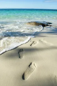 Seashore Prints: Footprints on the beach, Tsarabanjina island