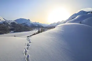 Absence Prints: Footprints marching towards the Maloja Pass under a sun veiled by the mist on a cold winter day