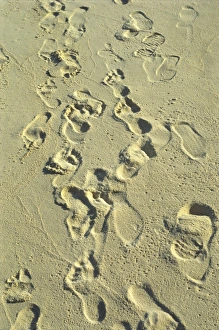 Generic Location Prints: Footprints in sand on beach
