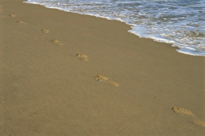 Foot Print Prints: Footprints in the sand on a beach and waters edge