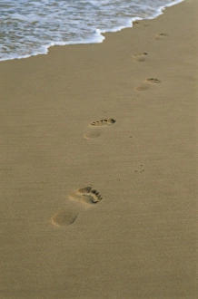 Footprints in the sand on a beach and waters edge