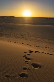 Rippled Gallery: Footprints and sand ripples in the sand dunes of the Tenere Desert, Sahara, Niger, Africa
