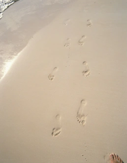 Foot Print Prints: Footprints on wet sand, Whale Beach, Bermuda, mid Atlantic