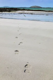 Absence Prints: Footsteps on a beach, Isle of Eriskay