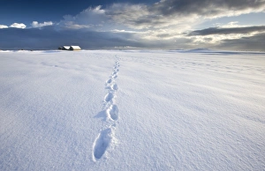 Footsteps in freshly-fallen snow leading off into distance towards dramatic winter sky Footsteps in freshly-fallen snow leading off into distance towards dramatic winter sky