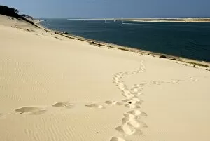 Images Dated 30th August 2008: Footsteps in the sand on the Dune du Pyla, the largest dune in Europe, Bay of Arcachon