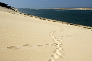 Images Dated 30th August 2008: Footsteps in the sand on the Dune du Pyla, the largest dune in Europe, Bay of Arcachon