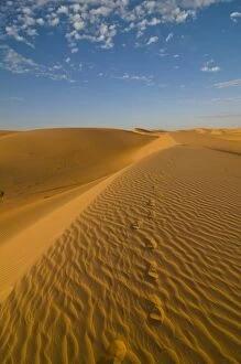 Footsteps in sand dunes at sunset, near Chinguetti, Mauritania, Africa