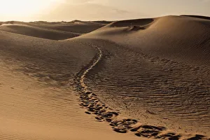 Deserts Prints: Footsteps trail path between the sand dunes of Sahara Desert, Merzouga, Morocco