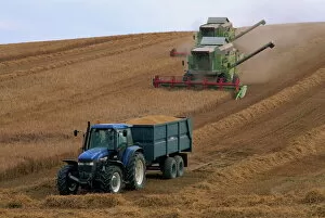 Ford tractor, Claas combine, wheat harvesting, Wiltshire, England, United Kingdom, Europe