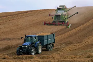 Harvest Prints: Ford tractor, Cls combine, wheat harvesting, Wiltshire, England, United Kingdom, Europe