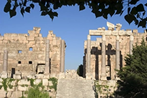 Bekaa Valley Prints: Forecourt and Propylaea
