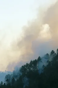 Natural Disaster Prints: Forest fire in hills above Lake Atitlan
