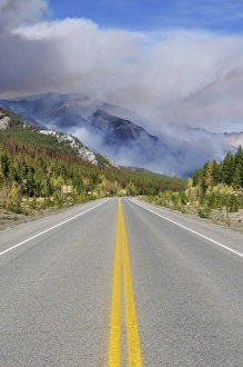 Images Dated 25th September 2009: Forest Fire near Saskatchewan Crossing, Banff National Park, UNESCO World Heritage Site