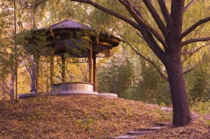 Autumnal Leaves Prints: Forest Pavilion, Purple Bamboo Park, Beijing, China, Asia