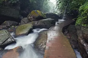 A forest river in the Sidonggou Nature Reserve near Chushui, Guizhou Province