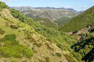 Gorgeous Prints: Forested hillsides of mountainous countryside between Himare and Vuno