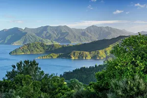Forested Peninsula and Island Fragments Surrounded by Calm Blue Waters in Outer Queen Charlotte Sound Near French Pass, Marlborough Sounds, New Zealand