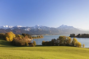 Bayern Prints: Forggensee Lake and Allgau Alps