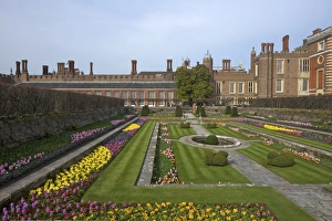 Hampton Court Prints: Formal gardens, Hampton Court Palace, Greater London, England, United Kingdom, Europe