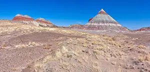 Shrub Prints: Formation in the Petrified Forest National Park called a Teepee, Arizona